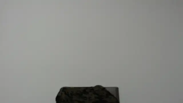 Rocky Muscle online show from March 4, 11:01 pm