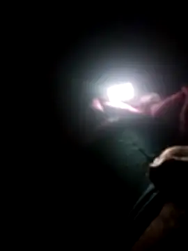 Zoro25  online show from February 2, 8:24 am