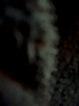 Shekoooooooo9oooo online show from February 15, 8:17 pm