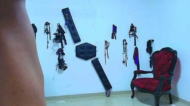 Adonis artemis online show from October 26, 2:19 pm