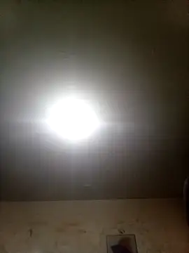 Bebicho14 online show from September 9, 2:22 am