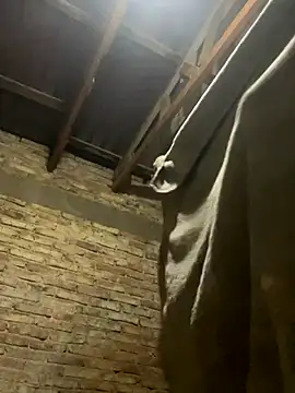 Snapshot of Efrain6996 chatting on September 23, 7:29 am Efrain6996 online show from September 23, 7:29 am