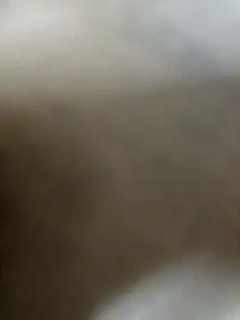 Snapshot of saiba1234 chatting on September 10, 11:47 pm saiba1234 online show from September 10, 11:47 pm