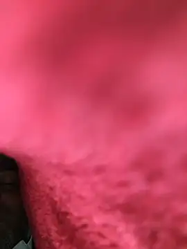 Chanderi19 online show from November 16, 11:40 pm