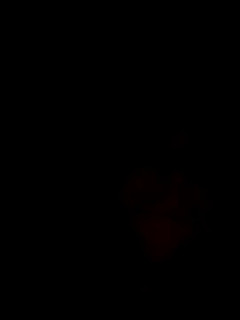 2Pietro3 online show from May 17, 9:22 pm