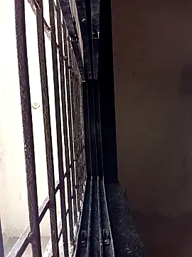 ipvk online show from March 22, 11:59 am