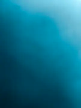 Sert erkek21 ysm online show from October 14, 10:33 am