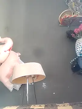 use 19 online show from December 4, 8:32 am