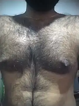 SL BEAR online show from November 12, 6:24 pm