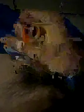 Theanimals online show from October 16, 12:51 am