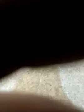 Samisamieden1 online show from April 9, 2:34 pm