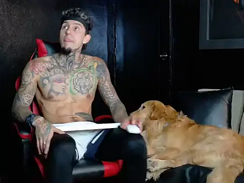 Molotov Explosive online show from November 21, 9:36 pm