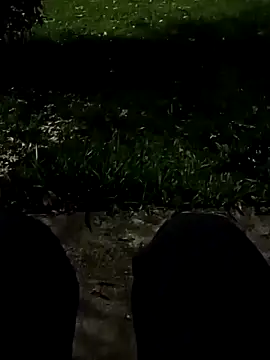 roludao fun online show from November 10, 10:47 pm