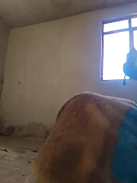 Orlao25cm online show from November 9, 1:59 pm