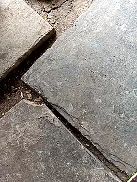 naveen 3222 online show from April 12, 5:42 am