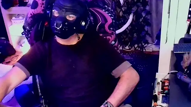 JoyboyBear online show from May 13, 2:08 am