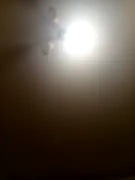 Niesmialyy online show from February 16, 8:18 pm