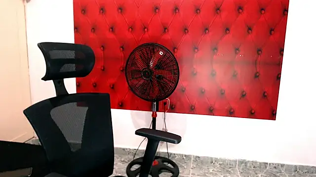 Bryant Connor online show from November 25, 3:19 am