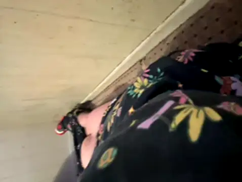 Peteyp98 online show from November 11, 7:08 pm