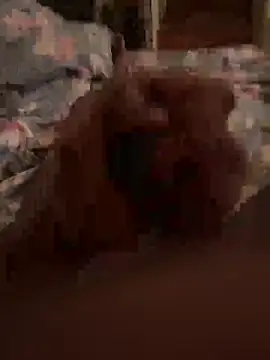 newboy02 online show from November 16, 6:21 pm