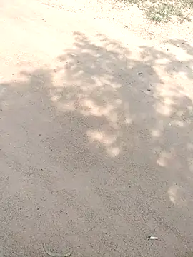 summa renu online show from November 15, 5:31 am