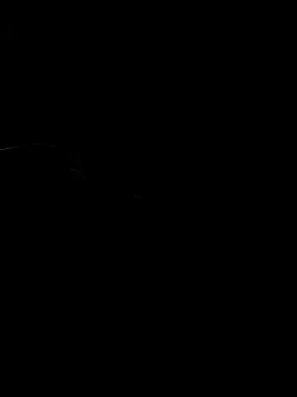 arcacsel online show from March 7, 11:02 pm