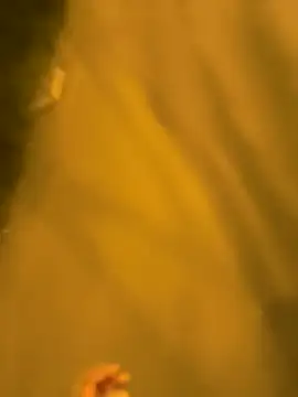 Razvan696969 online show from April 17, 8:33 pm