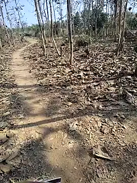 88zaifkhan88 online show from January 14, 5:56 am