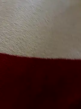 ilove90123 online show from December 1, 9:07 pm