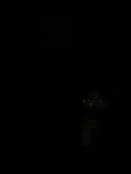 ValuedConcept687 online show from February 3, 6:22 am