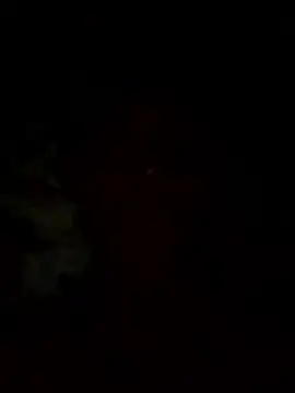 vispera online show from January 14, 4:28 am