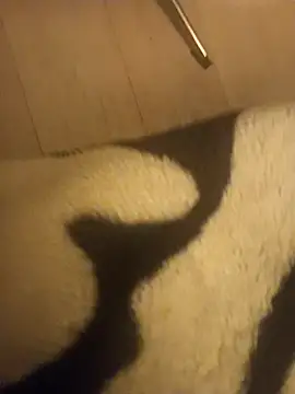 Sryyhxrhncfh online show from December 3, 8:04 pm