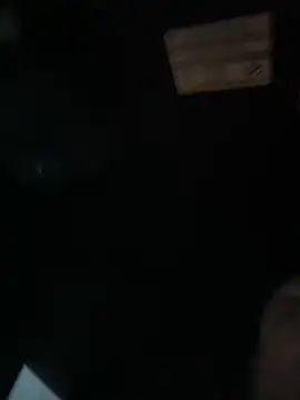 WIDBIGWHITECOCK online show from March 10, 11:00 pm