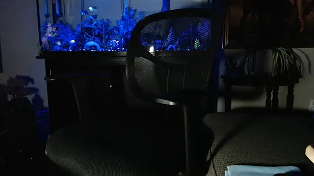 EspanolVato online show from February 7, 10:44 am