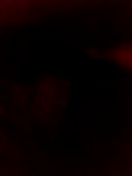 Ljijli online show from February 28, 11:37 pm