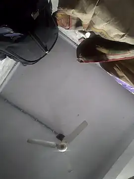 HadDrawers online show from February 5, 7:37 am