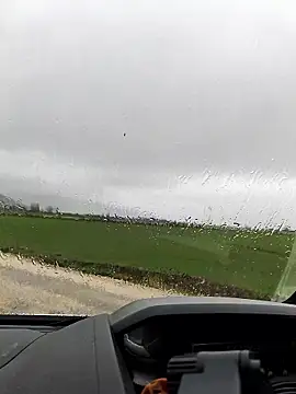 cosst14 online show from January 12, 12:09 pm