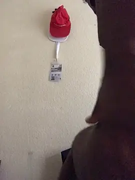 Sirbemine online show from April 24, 11:23 am