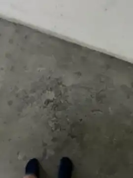 Wvpppp online show from February 24, 8:37 am