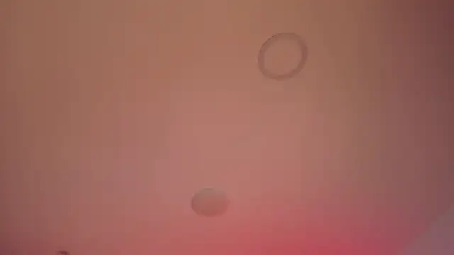 jay kross1 online show from February 22, 6:37 am