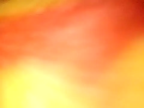 pejunikmat19 online show from February 16, 7:56 pm