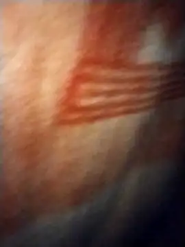 Siloo1 online show from February 8, 2:39 am