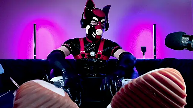 K9 GoodBoy online show from March 7, 11:46 pm