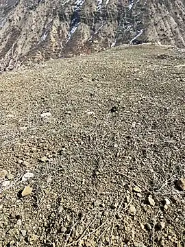 TurkeyMen online show from March 3, 10:11 am