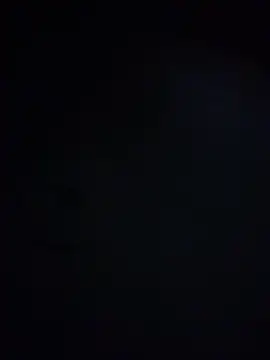 King cotize online show from February 24, 5:41 am