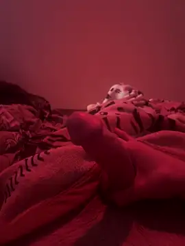 689Nika online show from April 7, 1:11 pm