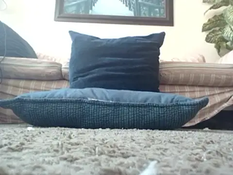 WorthingtonM3 online show from March 20, 3:49 pm