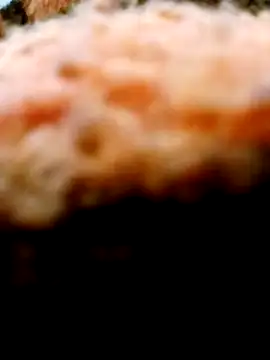 Adix 02six online show from March 10, 1:55 am