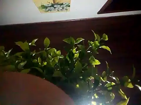 KikoKratos online show from July 6, 3:03 am