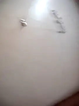 Gayegypt online show from March 27, 4:49 am